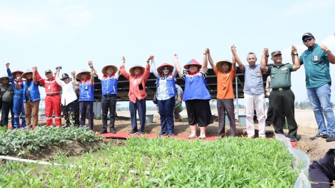 Pertamina Dorong Ketahanan Pangan, Energi Bersih Aliri 25 Ha Lahan Pertanian Warga Kalijaran