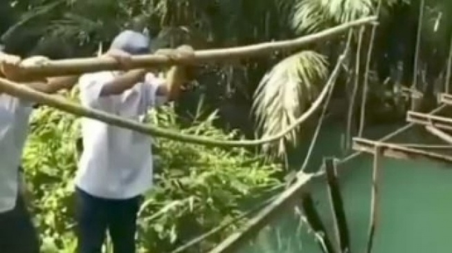 Viral Jembatan Rusak Tanggamus: Anak Sekolah Bertaruh Nyawa, Ini Respons Pemprov