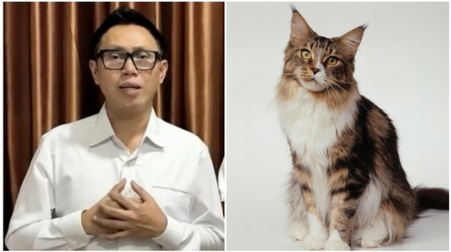 Rumah Dijarah, Kucing Dibawa, Curhatan Pilu Eko Patrio Cari River: Aku Kangen Kamu