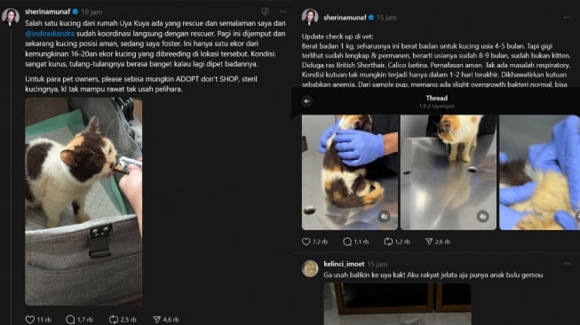 Sherina Munaf rescue kucing Uya Kuya (Thread/sherinamunaf)
