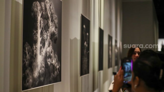 Sejumlah pengunjung mengamati karya foto dalam pameran 80 Tahun Keberagaman Republik Indonesia: Potret Bangsa dalam Lensa di Museum Nasional, Jakarta, Sabtu (6/9/2025). [Suara.com/Alfian Winanto]