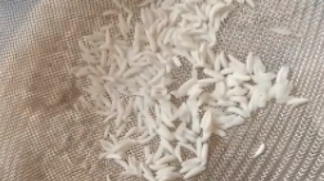 Mengenal Apa Itu Beras Kernel yang Viral di TikTok, Apakah Aman Dikonsumsi?