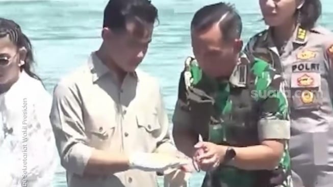Gibran Pakai Sarung Tangan Terbalik saat Hendak Panen Lobster Jadi Sorotan, TNI Turun Tangan