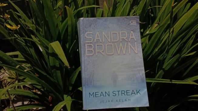 Ulasan Novel Mean Streak: Keberanian Memilih Jalan Hidup Sendiri