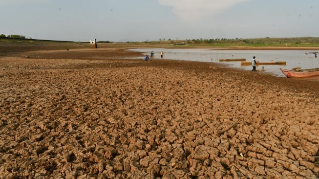 Dilanda Kemarau, Waduk Dawuhan Madiun Mengering