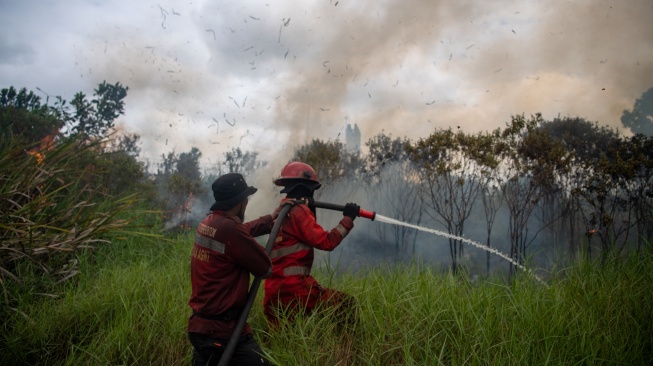 Petugas dari Manggala Agni Daops Banyuasin berupaya melakukan pemadaman kebakaran lahan yang terjadi di sisi gerbang tol rambutan Jalan Tol Trans Sumatera (JTTS) ruas Palembang-Indralaya (Palindra) di Desa Rambutan, Ogan Ilir (OI), Sumatera Selatan, Minggu (21/9/2025). [ANTARA FOTO/Nova Wahyudi/bar]