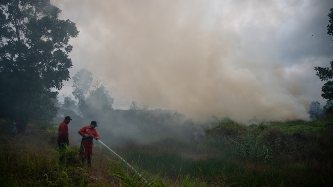 Petugas dari Manggala Agni Daops Banyuasin berupaya melakukan pemadaman kebakaran lahan yang terjadi di sisi gerbang tol rambutan Jalan Tol Trans Sumatera (JTTS) ruas Palembang-Indralaya (Palindra) di Desa Rambutan, Ogan Ilir (OI), Sumatera Selatan, Minggu (21/9/2025). [ANTARA FOTO/Nova Wahyudi/bar]