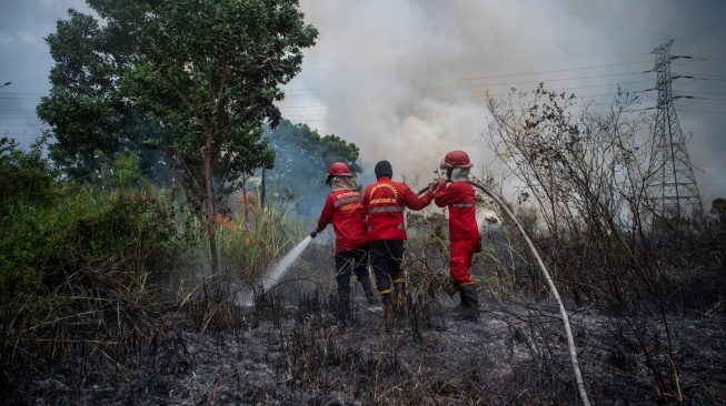 Petugas dari Manggala Agni Daops Banyuasin berupaya melakukan pemadaman kebakaran lahan yang terjadi di sisi gerbang tol rambutan Jalan Tol Trans Sumatera (JTTS) ruas Palembang-Indralaya (Palindra) di Desa Rambutan, Ogan Ilir (OI), Sumatera Selatan, Minggu (21/9/2025). [ANTARA FOTO/Nova Wahyudi/bar]