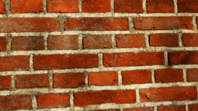 Cara Mengatasi Tembok Lembab dan Berjamur. (Pixabay)