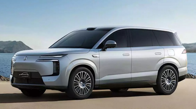 SUV Denza N8L (Cnevpost)
