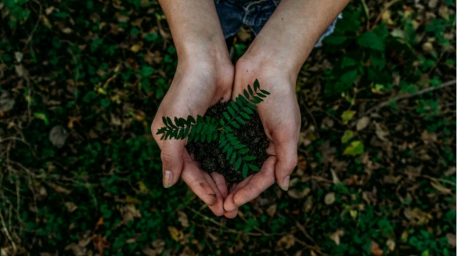 Eco-Living untuk Anak Muda: Gaya Hidup Kekinian yang Menyelamatkan Bumi