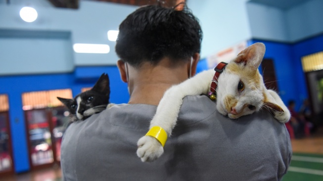 Petugas dari Dinas KPKP Jakarta Timur membawa kucing jantan yang telah disterilisasi di Balai Warga RW.09 Pondok Kelapa, Jakarta Timur, Jumat (26/9/2025).  [ANTARA FOTO/Indrianto Eko Suwarso/foc]