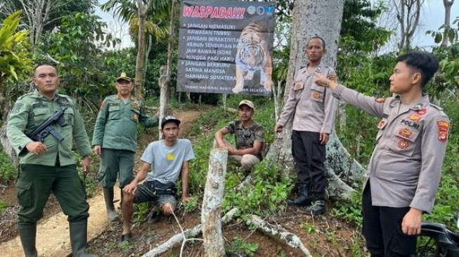Teror Harimau di Pesisir Barat: Jejak Kaki Misterius dan Potongan Kambing Gegerkan Warga Sukamulya!