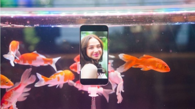 OPPO A6 Pro dapat melakukan livestream di dalam aquarium (Dok: OPPO)