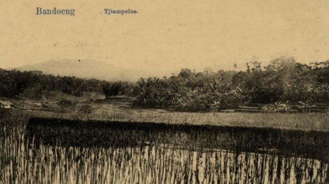 Foto suasana Kampung Tjiampelas (Cihampelas) pada sekitar tahun 1910. (peta Bandung)