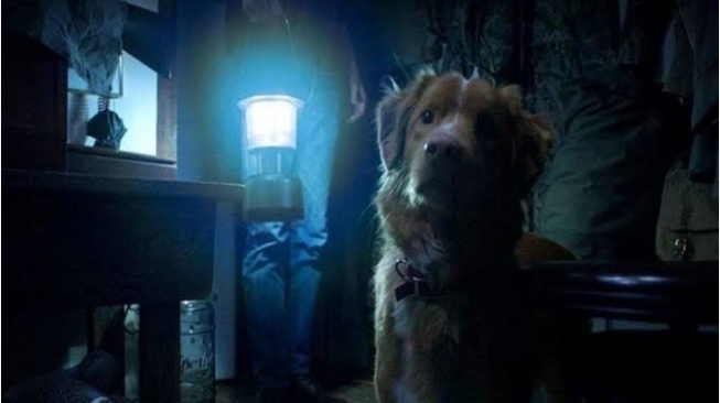 Daya Pikat Film Good Boy, Melihat Setan dari Mata Seekor Anjing