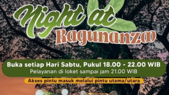 Ragunan Buka Sampai Malam! Ini 5 Hal Penting yang Wajib Kamu Tahu Sebelum Datang