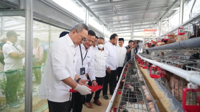 Menko Zulkifli Hasan Panen Ayam Petelur, Apresiasi PNM Bangun Ketahanan Pangan Desa