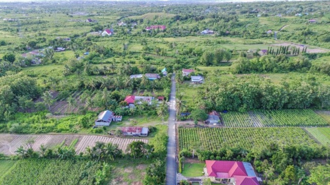 Bukan Hanya Bogor, 3.000 Desa Terjebak dalam Hutan, Mendes PDT Cari Solusi Darurat