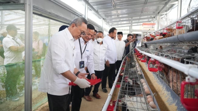 Menko Pangan Zulkifli Hasan Panen Brokoli hingga Ayam Petelur di Rumah Pangan PNM