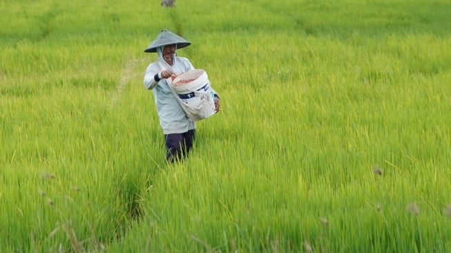 Menurut data BPS, Indonesia mencatatkan produksi beras nasional diperkiralan meningkat hingga 33,19 juta ton pada bulan November nanti (Dok: Kementan)