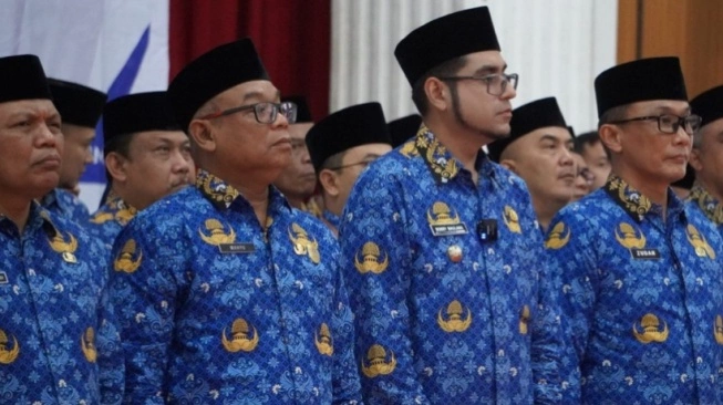 Ilustrasi PNS (bkn.go.id)