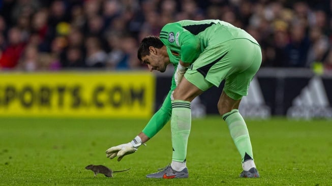 Viral!Tikus Masuk Lapangan, Bikin Kacau Laga Kualifikasi Piala Dunia 2026