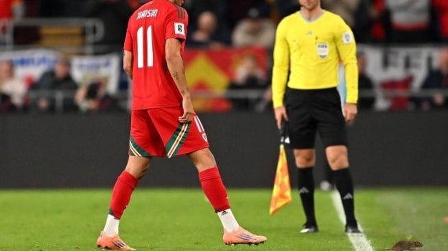 Viral! Tikus Bikin Kacau Balau Pertandingan Kualifikasi Piala Dunia 2026 [Tangkap layar X]
