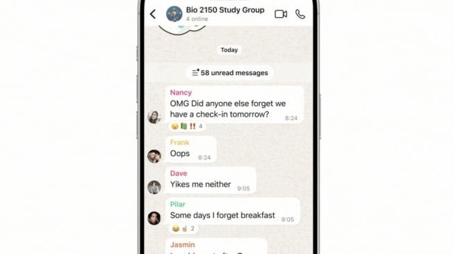 Fitur baru WhatsApp, Ringkasan Pesan. [WhatsApp Indonesia]