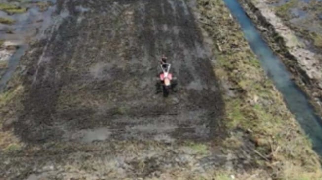 Sawah Baru di Tanah Laut Siap Dongkrak Produksi Padi Kalsel, Kementan Perkuat Mekanisasi Pertanian