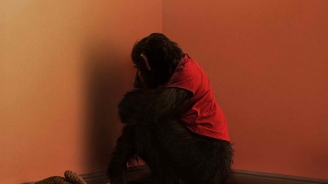 Film Primate jadi teror pembuka tahun 2026 paling ditunggu penggila horor (Instagram)