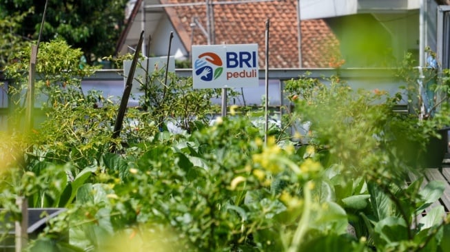 Panen Raya BRInita Dorong Ketahanan Pangan Masyarakat