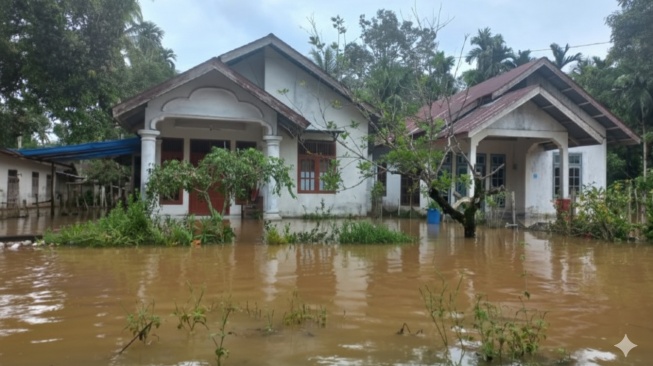 Banjir Besar Rendam 34 Desa di Aceh Jaya, 5.465 Warga Terdampak!