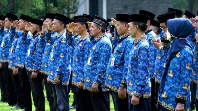 Apa Itu Gaji Tunggal ASN (antara)