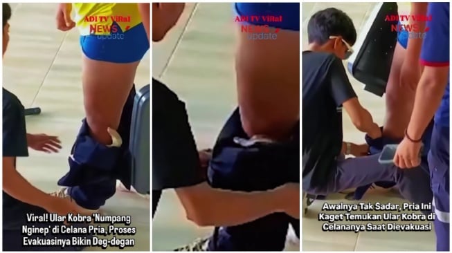 Detik-detik penyelamatan seorang pria yang celananya kemasukan ular cobra saat tidur siang (Instagram)
