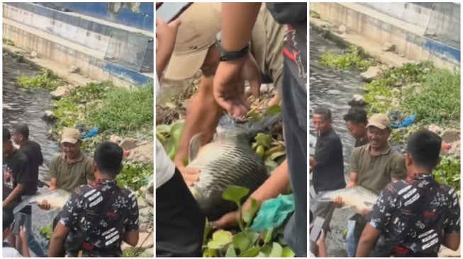 Dapat ikan mas raksasa di Danau Toba, pemancing dilarang bawa pulang gegara mitos kramat.