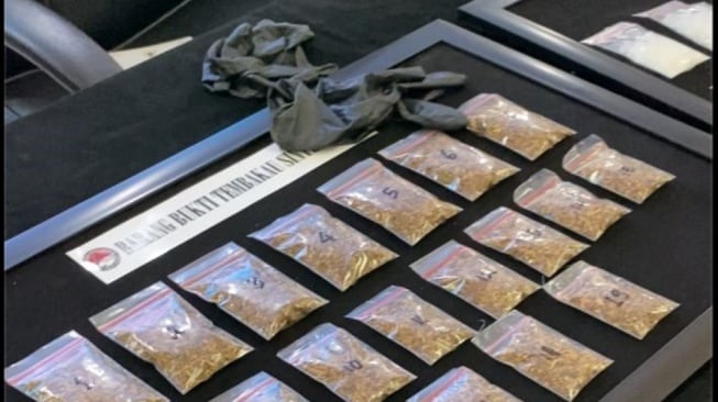 Gagal 'Swasembada' Ganja untuk Konsumsi Pribadi, Warga Cigudeg Ditangkap Bersama 7 Pohon Harapan