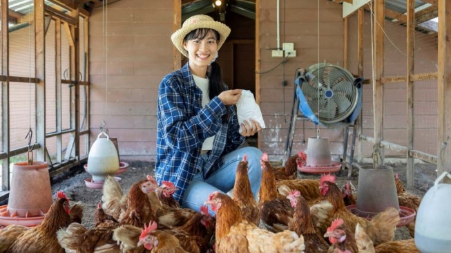 6 Usaha Ternak Cepat Panen, Modal Kecil Untung Besar