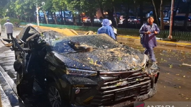 Tragedi Pohon Tumbang di Darmawangsa Jaksel: Satu Orang Tewas Tertimpa, Mobil Ringsek!