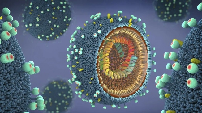 Belum Ada Kasus Flu Tipe A di Kaltim, tapi Jangan Lengah!