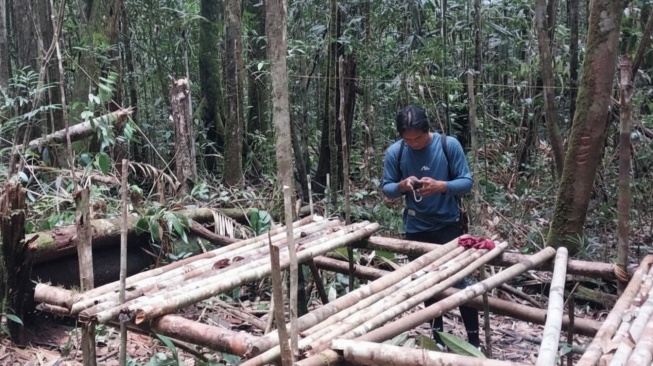 Ancaman Manusia Hantui Badak Pari, Satu-Satunya Badak Kalimantan yang Masih Bertahan