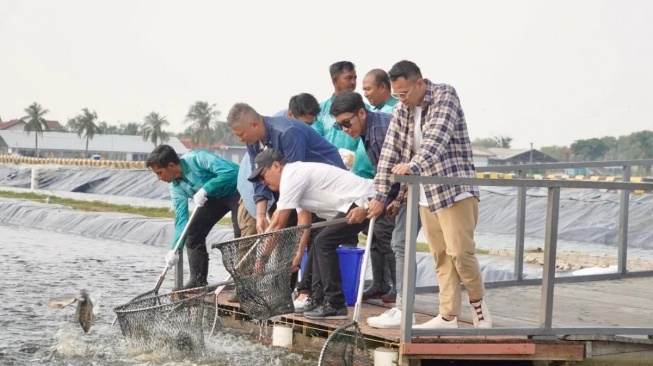 Raffi Ahmad ke Tambak! KKP Gandeng The Dudas-1 Promosikan Perikanan Modern