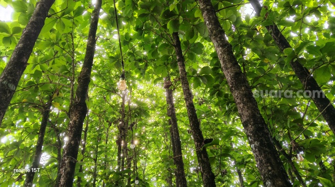 Review hasil kamera Realme 15T 5G. [Suara.com/Dicky Prastya]