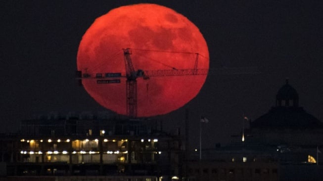 Link Live Streaming Supermoon 5 November 2025: Amati 'Fenomena Bulan Besar' Lebih Dekat