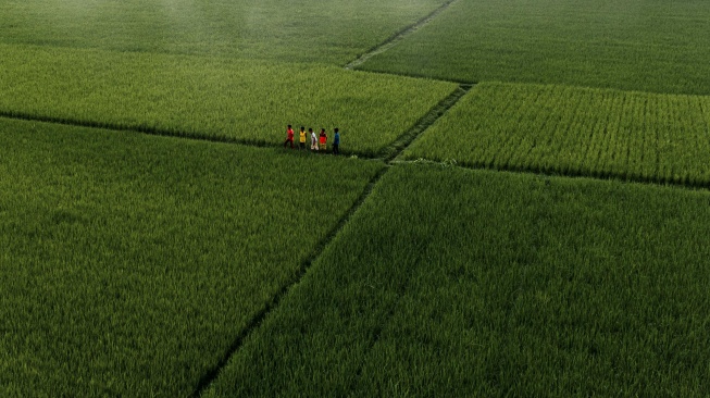 Mengapa Pertanian Berkelanjutan Menjadi Kunci Masa Depan Indonesia