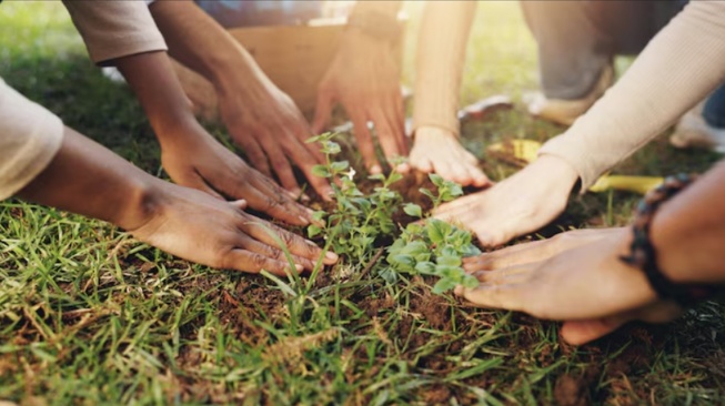 Perubahan Besar Dimulai dari Langkah Kecil: Gaya Hidup Berkelanjutan yang Bisa Dimulai Hari Ini