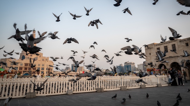 Pengunjung bermain dengan burung merpati di Souq Waqif, Doha, Qatar, Rabu (5/11/2025). [ANTARA FOTO/Bayu Pratama S/rwa]
