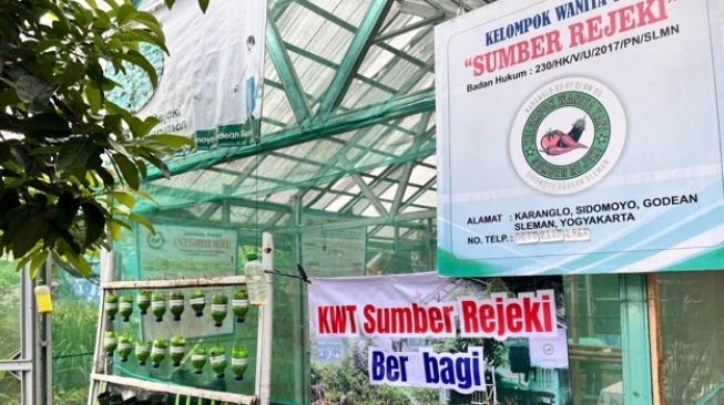 Saat Ibu Rumah Tangga Bertani: Cerita Keteguhan Perempuan KWT Sumber Rejeki