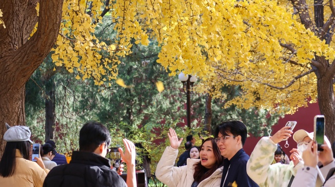 Pengunjung berfoto dengan latar daun pohon ginkgo yang berubah warna menjadi kuning saat musim gugur di taman Zhongshan, Beijing, China, Selasa (11/11/2025). [ANTARA FOTO/Desca Lidya Natalia/agr] 