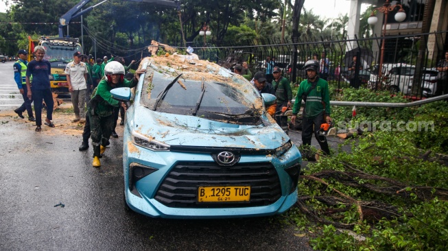 Petugas memotong pohon tumbang yang menimpa mobil taksi di depan Gedung Kementerian Keuangan, Jl Wahidin Raya Jakarta Pusat, Jumat (14/11/2025). [Suara.com/Alfian Winanto]
